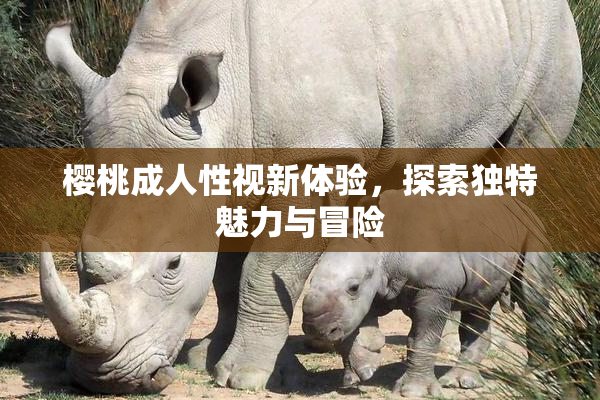 樱桃成人性视新体验，探索独特魅力与冒险