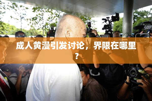成人黄漫引发讨论，界限在哪里？