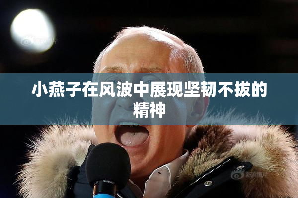小燕子在风波中展现坚韧不拔的精神