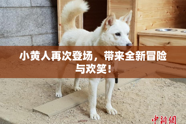 小黄人再次登场，带来全新冒险与欢笑！