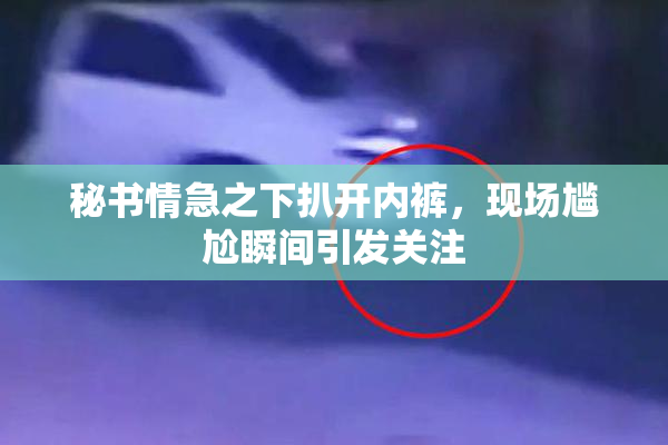 秘书情急之下扒开内裤，现场尴尬瞬间引发关注