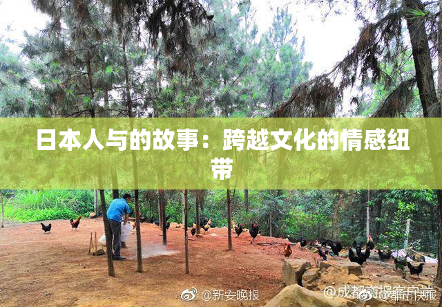 日本人与的故事：跨越文化的情感纽带