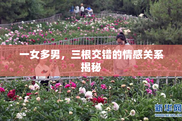 一女多男，三根交错的情感关系揭秘
