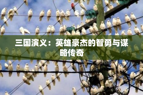 三国演义：英雄豪杰的智勇与谋略传奇