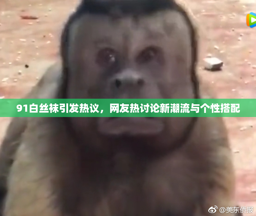 91白丝袜引发热议，网友热讨论新潮流与个性搭配
