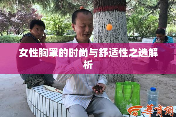女性胸罩的时尚与舒适性之选解析