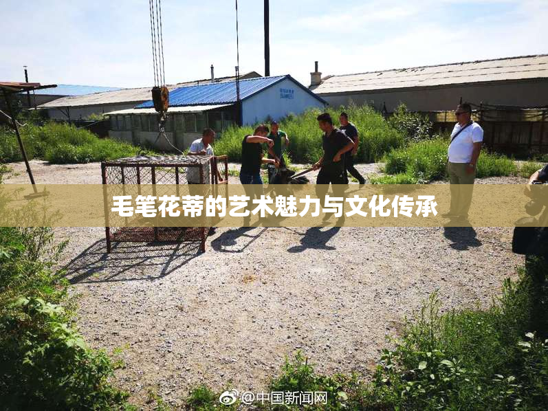 毛笔花蒂的艺术魅力与文化传承