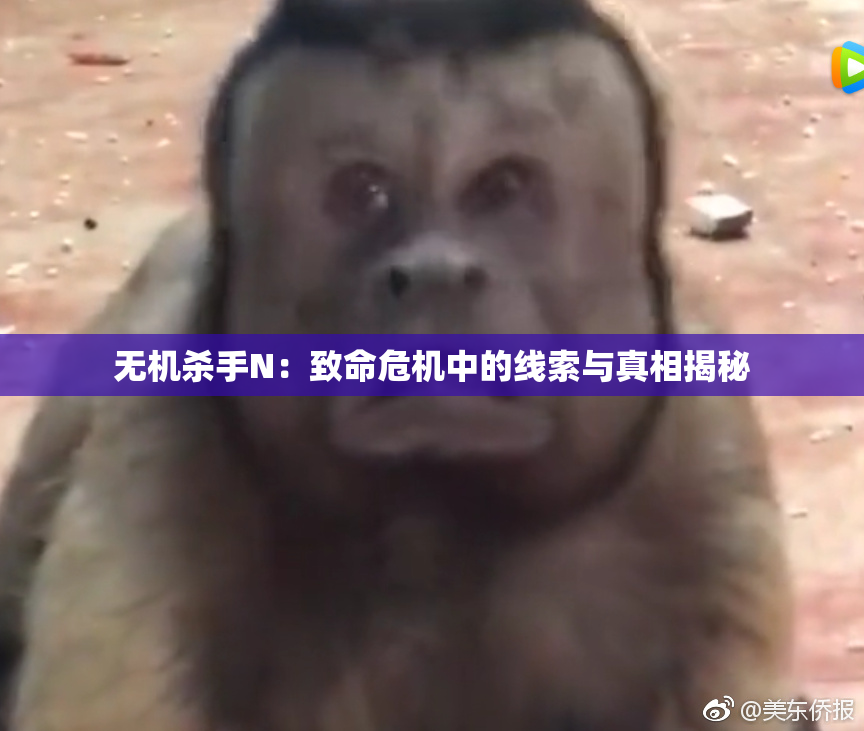 无机杀手N：致命危机中的线索与真相揭秘