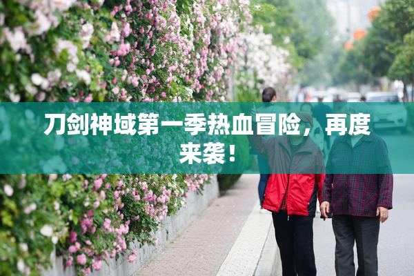 刀剑神域第一季热血冒险，再度来袭！