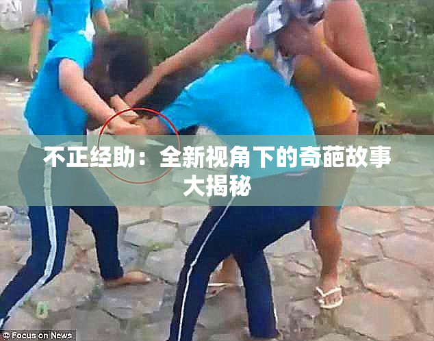 不正经助：全新视角下的奇葩故事大揭秘