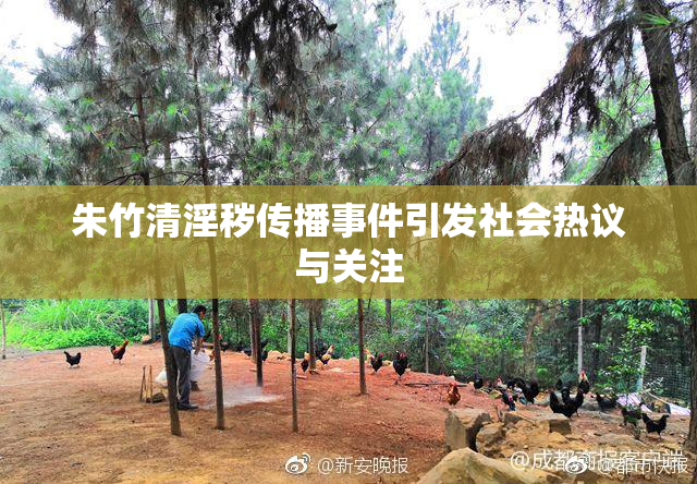 朱竹清淫秽传播事件引发社会热议与关注