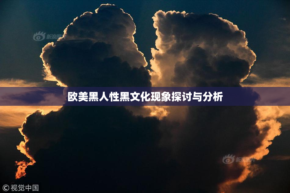 欧美黑人性黑文化现象探讨与分析
