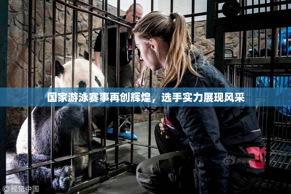 国家游泳赛事再创辉煌，选手实力展现风采