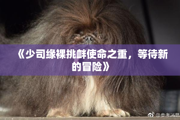 《少司缘裸挑衅使命之重，等待新的冒险》