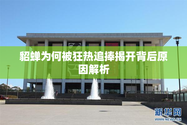 貂蝉为何被狂热追捧揭开背后原因解析
