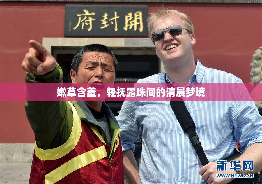 嫩草含羞，轻抚露珠间的清晨梦境