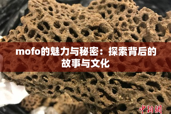 mofo的魅力与秘密：探索背后的故事与文化