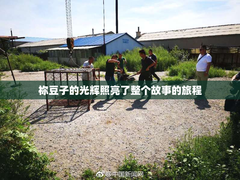 祢豆子的光辉照亮了整个故事的旅程
