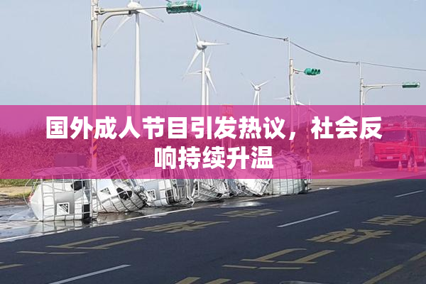 国外成人节目引发热议，社会反响持续升温