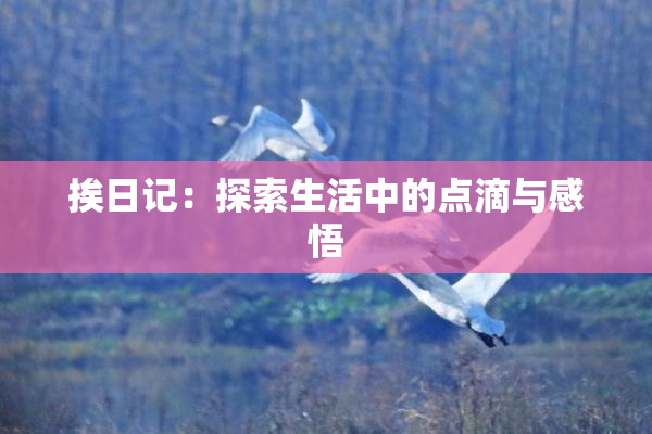挨日记：探索生活中的点滴与感悟