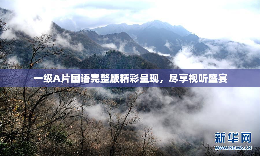 一级A片国语完整版精彩呈现，尽享视听盛宴