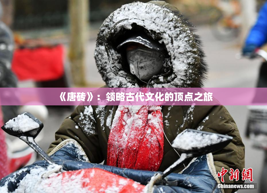 《唐砖》：领略古代文化的顶点之旅