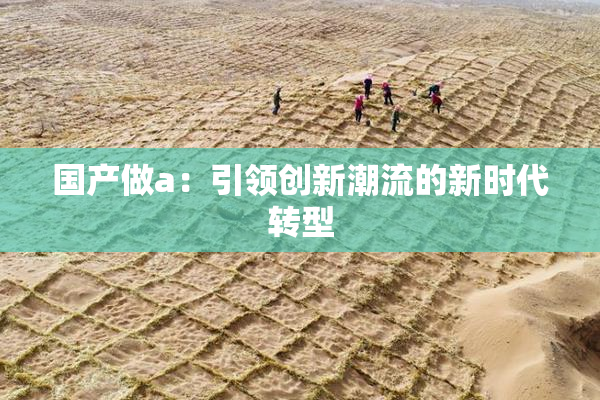 国产做a：引领创新潮流的新时代转型