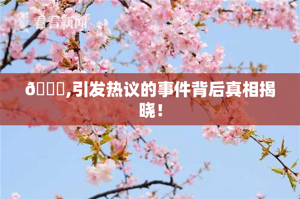 🈚,引发热议的事件背后真相揭晓！