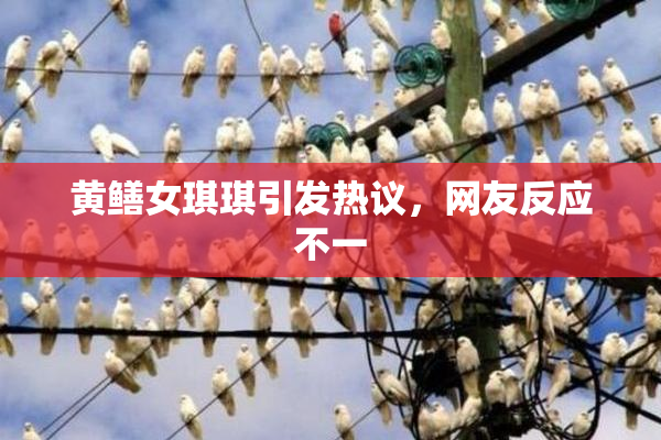 黄鳝女琪琪引发热议，网友反应不一