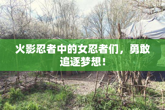 火影忍者中的女忍者们，勇敢追逐梦想！