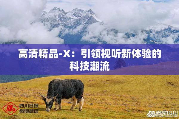 高清精品-X：引领视听新体验的科技潮流