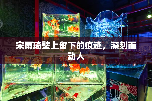 宋雨琦壁上留下的痕迹，深刻而动人