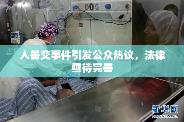 人兽交事件引发公众热议，法律亟待完善