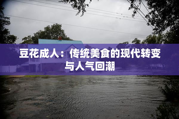 豆花成人：传统美食的现代转变与人气回潮