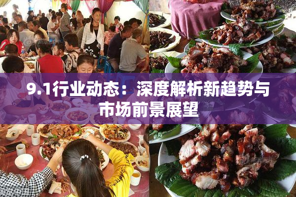 9.1行业动态：深度解析新趋势与市场前景展望