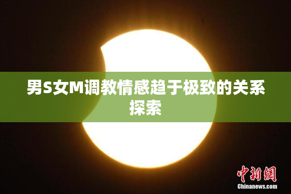 男S女M调教情感趋于极致的关系探索