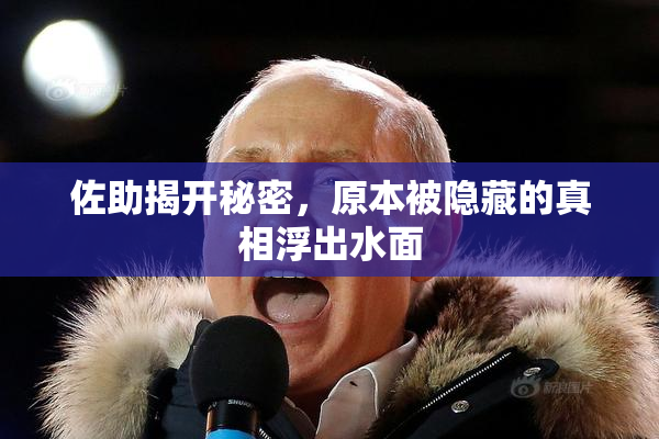 佐助揭开秘密，原本被隐藏的真相浮出水面