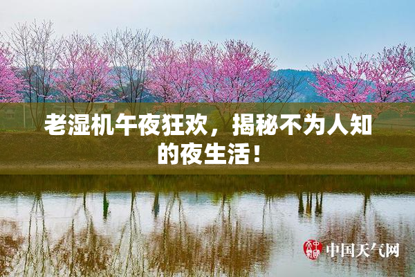 老湿机午夜狂欢，揭秘不为人知的夜生活！