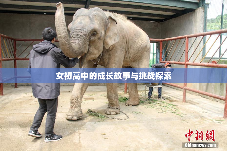 女初高中的成长故事与挑战探索