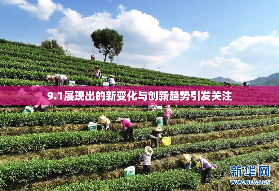 9.1展现出的新变化与创新趋势引发关注