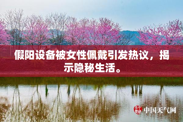 假阳设备被女性佩戴引发热议，揭示隐秘生活。