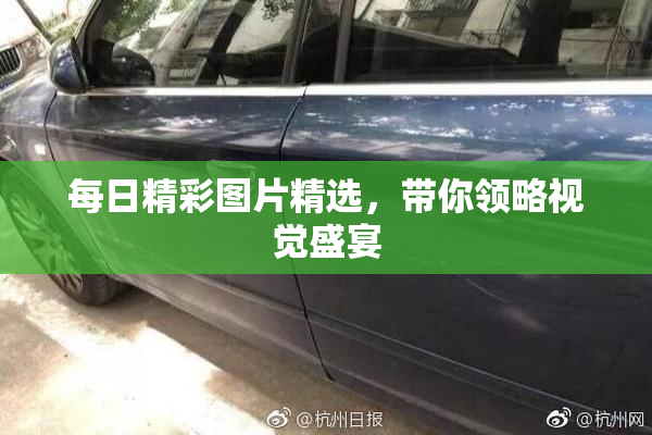 每日精彩图片精选，带你领略视觉盛宴