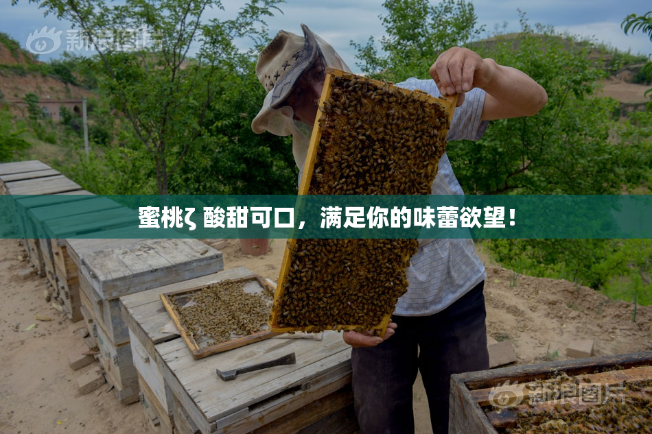 蜜桃ζ 酸甜可口，满足你的味蕾欲望！