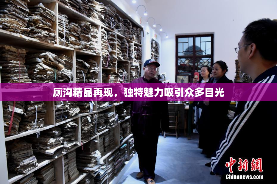 厕沟精品再现，独特魅力吸引众多目光