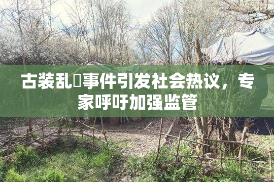 古装乱婬事件引发社会热议，专家呼吁加强监管