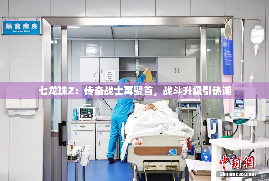 七龙珠Z：传奇战士再聚首，战斗升级引热潮