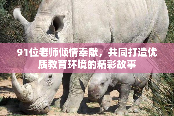 91位老师倾情奉献，共同打造优质教育环境的精彩故事