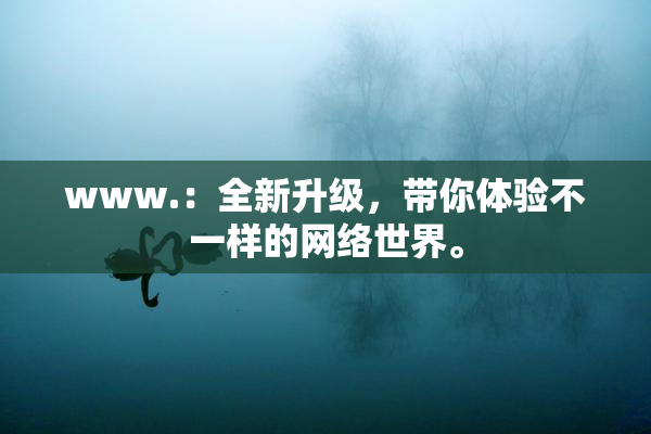 www.：全新升级，带你体验不一样的网络世界。