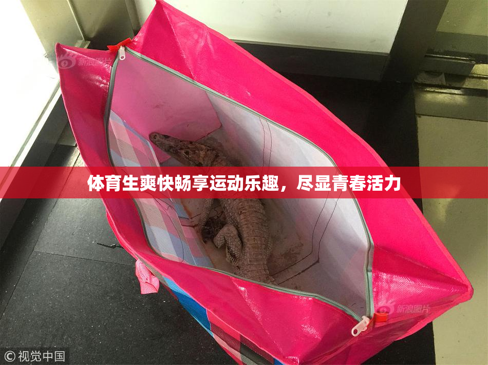 体育生爽快畅享运动乐趣，尽显青春活力