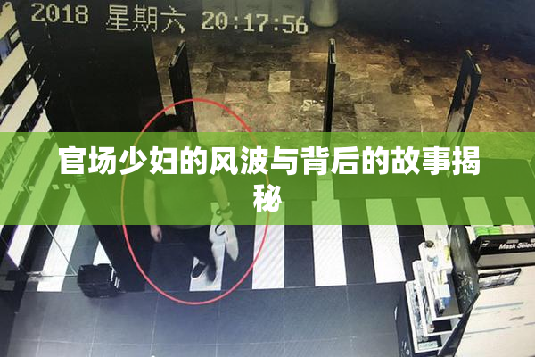 官场少妇的风波与背后的故事揭秘
